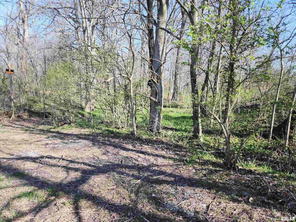 Image 15 of property listing at 1300 Tolle Lane, Mt Vernon, IL 62864