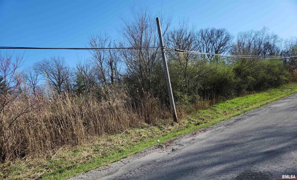 Image 17 of property listing at 1300 Tolle Lane, Mt Vernon, IL 62864
