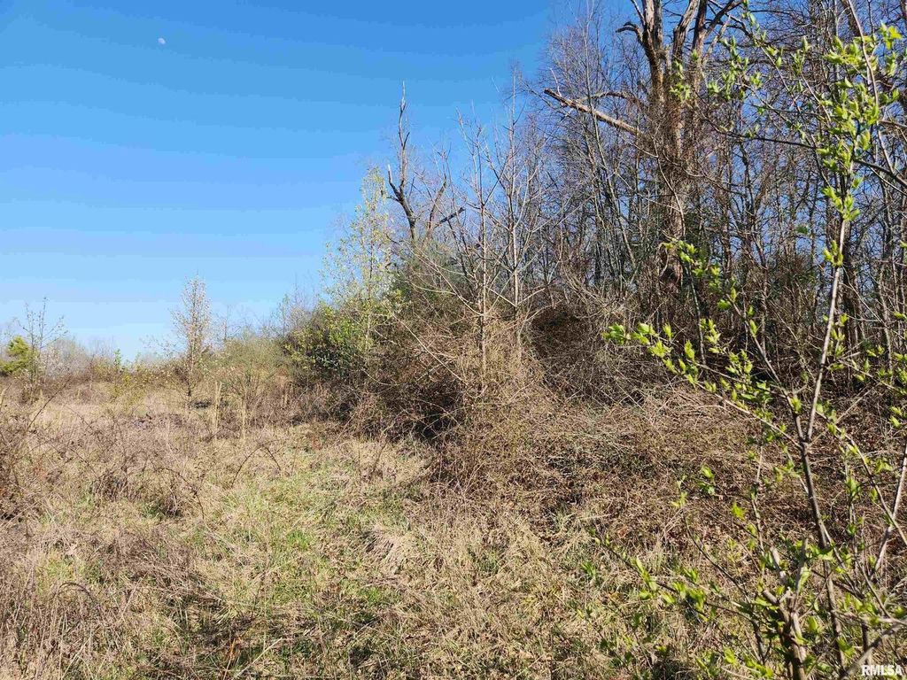 Image 3 of property listing at 1300 Tolle Lane, Mt Vernon, IL 62864