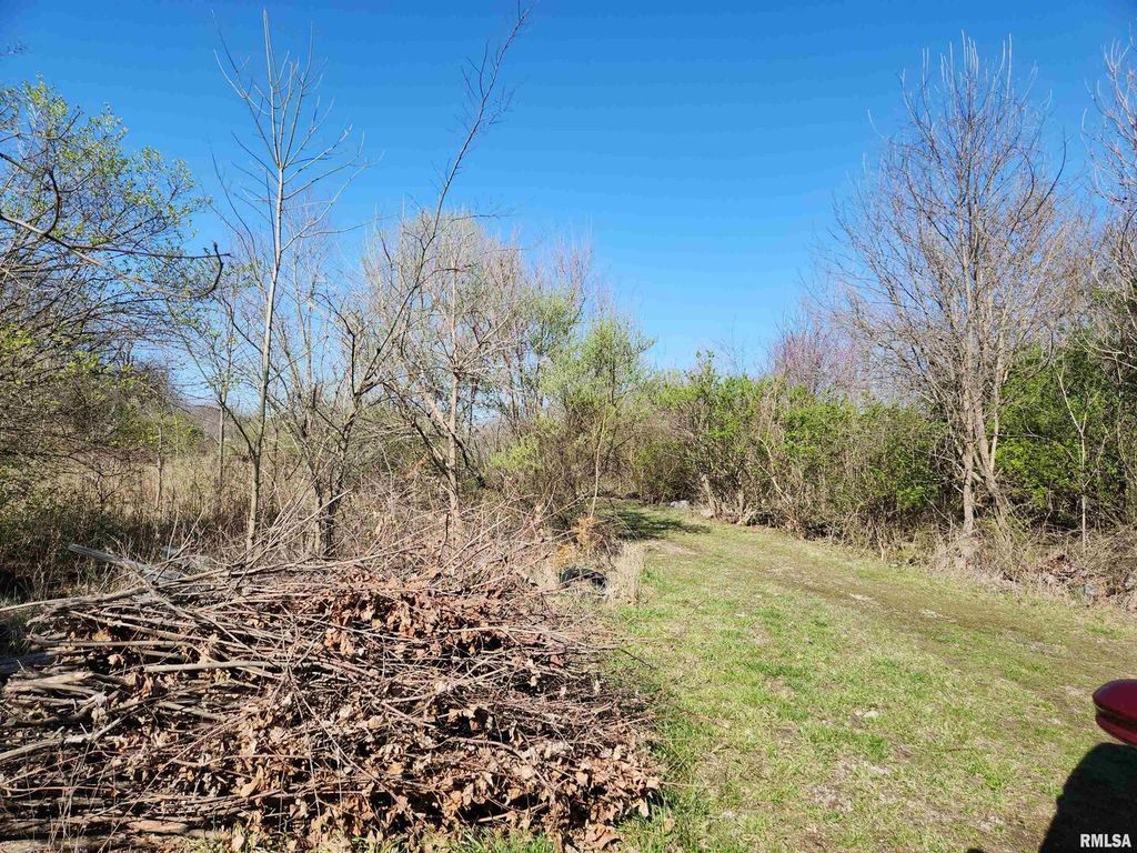 Image 4 of property listing at 1300 Tolle Lane, Mt Vernon, IL 62864