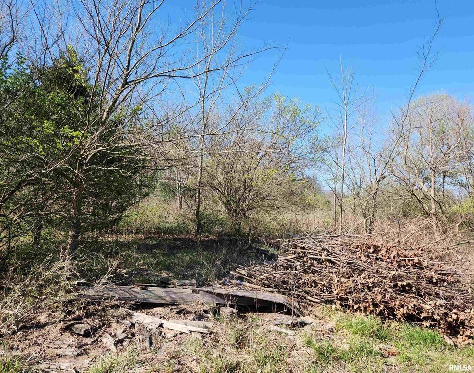 Image 5 of property listing at 1300 Tolle Lane, Mt Vernon, IL 62864