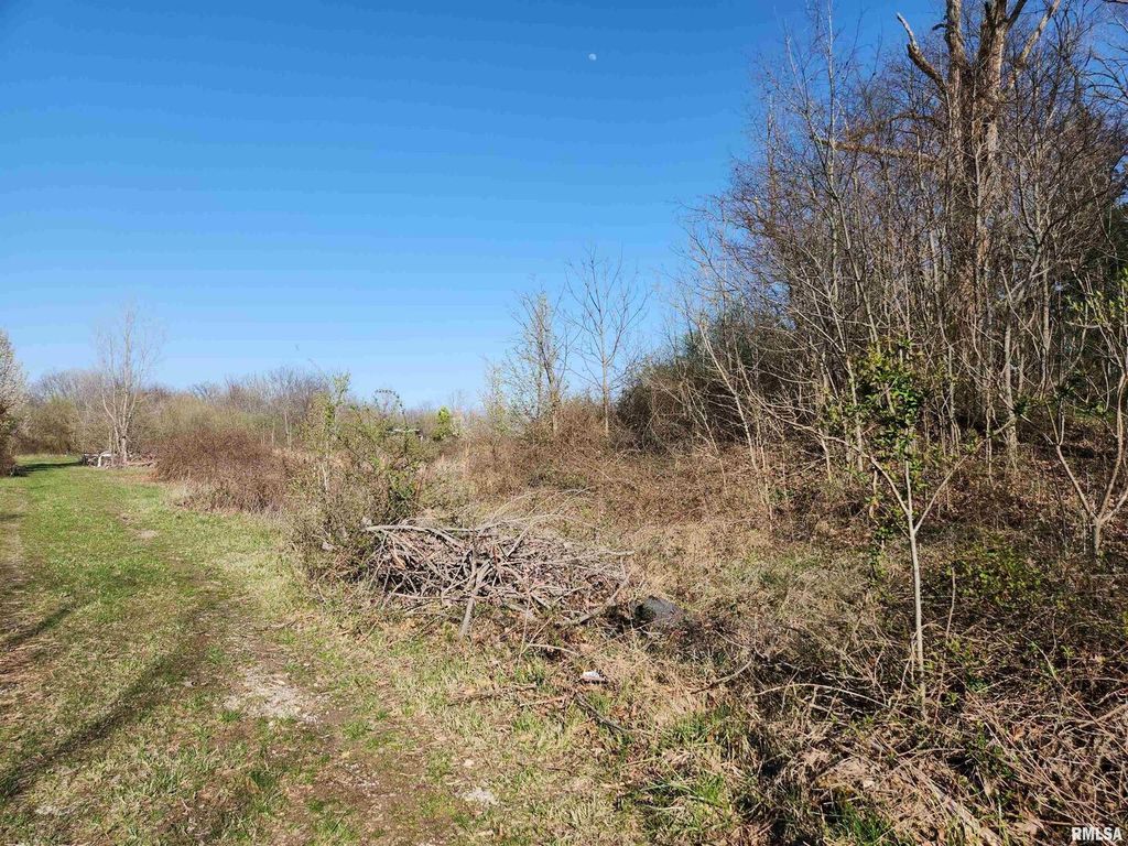 Image 6 of property listing at 1300 Tolle Lane, Mt Vernon, IL 62864