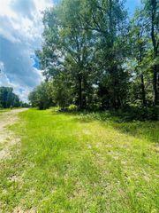 883 Wood Haven, Livingston, TX 77351