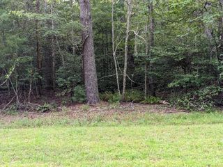 Lot 11 Quail Cove Circle, Warne, NC 28909