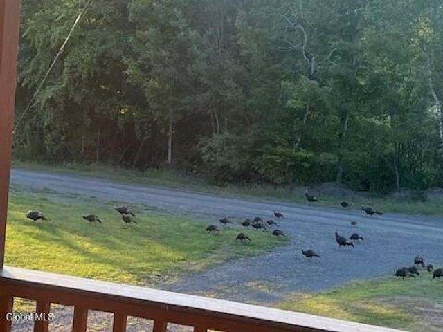 190 Wes Brown Road, Cherry Valley, NY 13320