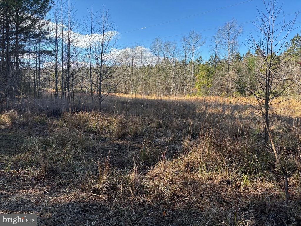 LOT 4B MOLLYFIELD ROAD, Dagsboro, DE 19939