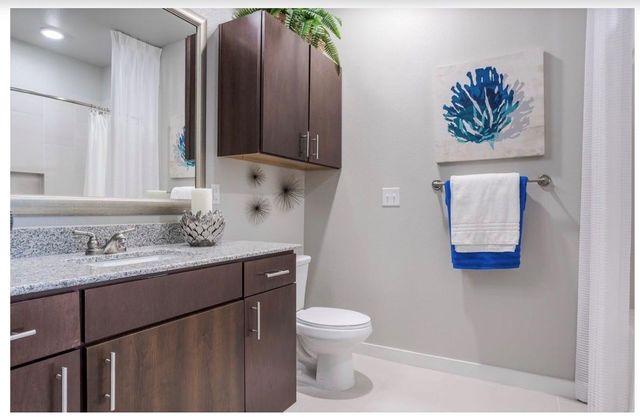 15255 Vintage Preserve Parkway 1109, Houston, TX 77070