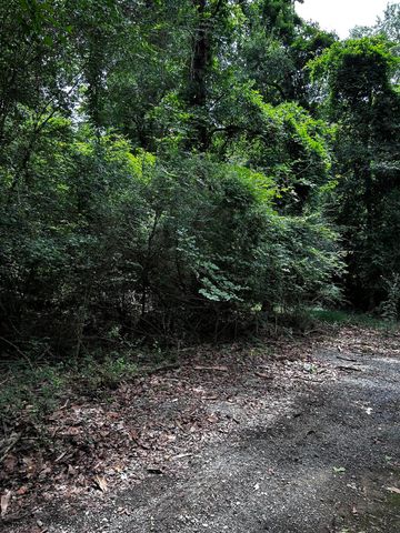 0 Varner Ridge Lane, Ridgeville, SC 29472