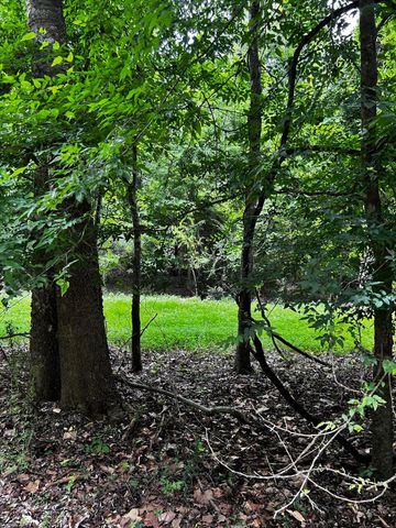 0 Varner Ridge Lane, Ridgeville, SC 29472
