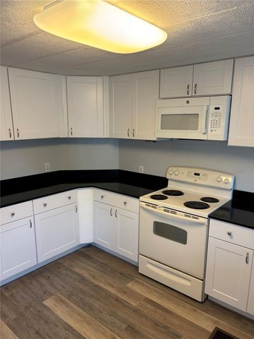 3302 EVERGREEN ROAD GE, Zellwood, FL 32798