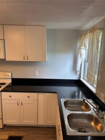 3302 EVERGREEN ROAD GE, Zellwood, FL 32798