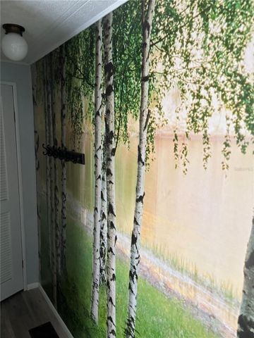 3302 EVERGREEN ROAD GE, Zellwood, FL 32798