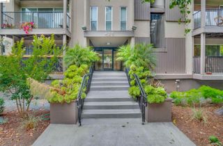 425 Orange St 202, Oakland, CA 94610