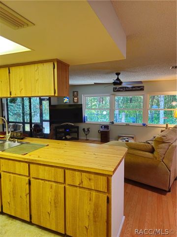 14 Sycamore Court E, Homosassa, FL 34446