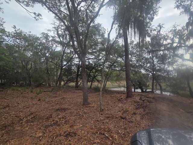 Lot 5 Hwy 165 Highway, Meggett, SC 29449