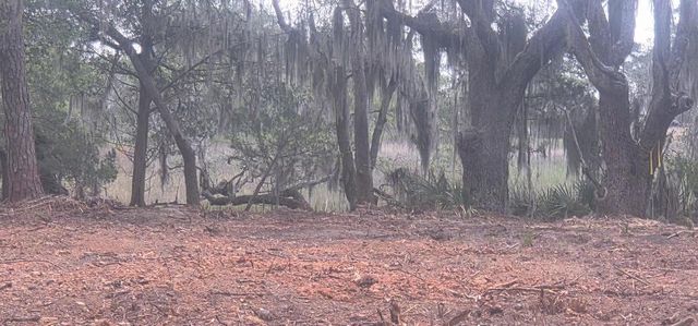 Lot 5 Hwy 165 Highway, Meggett, SC 29449