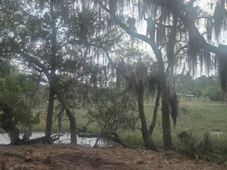 Lot 5 Hwy 165 Highway, Meggett, SC 29449