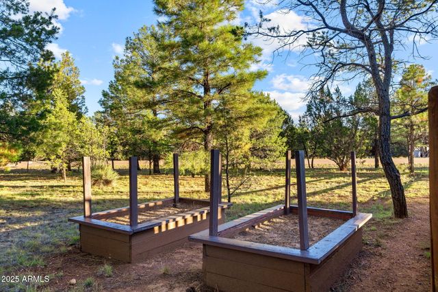 2758 JAGUAR Circle, Overgaard, AZ 85933