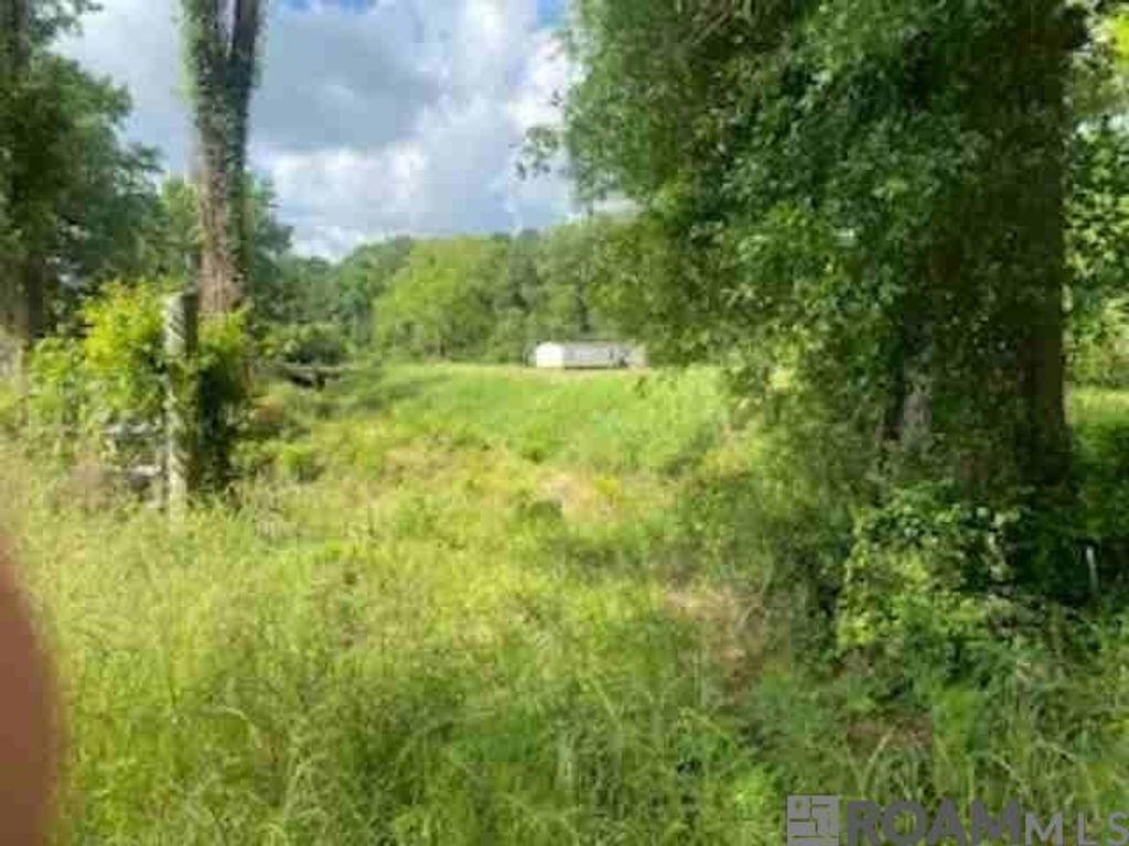 19692 Pride-baywood Rd, Pride, LA 70770