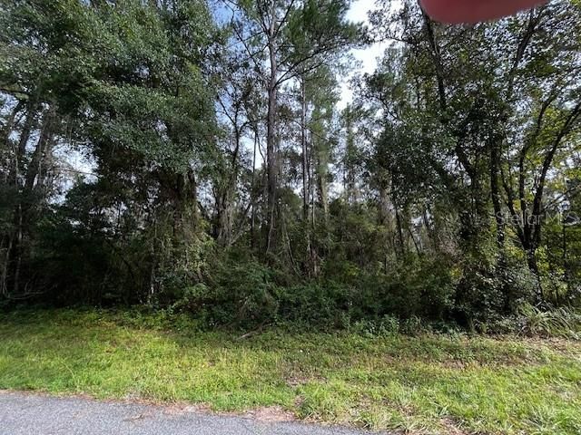 552 E CALDWELL DRIVE, Dunnellon, FL 34434