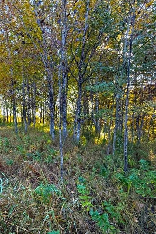 560th Street, Palisade, MN 56469 — photo 2