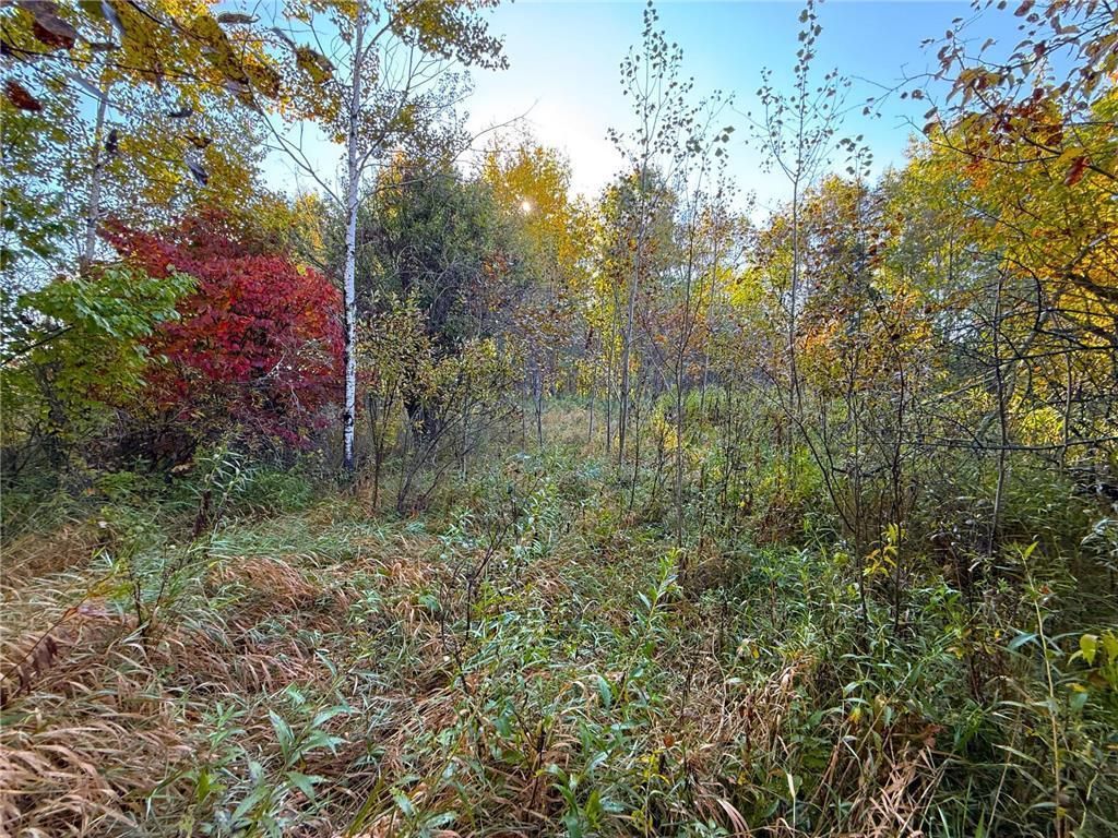 560th Street, Palisade, MN 56469 — photo 4