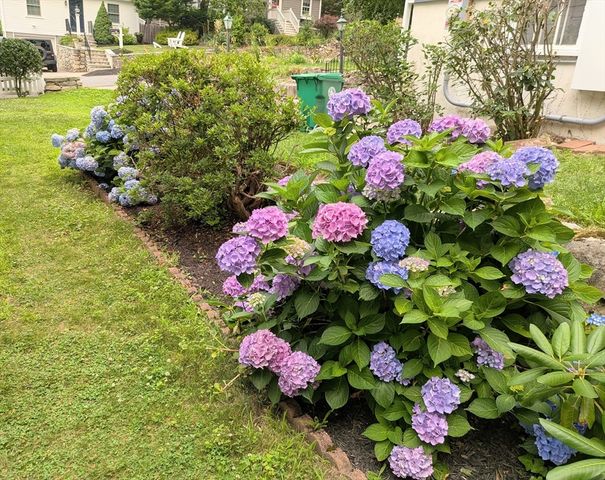39 Fisher Street, Westwood, MA 02090