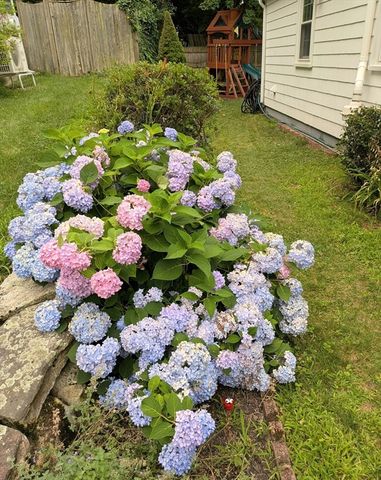39 Fisher Street, Westwood, MA 02090