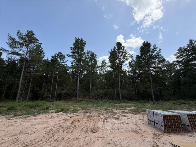 25077 Seguin Trail, Montgomery, TX 77316