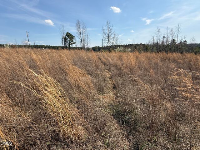 0 Burgess Road, Middlesex, NC 27557