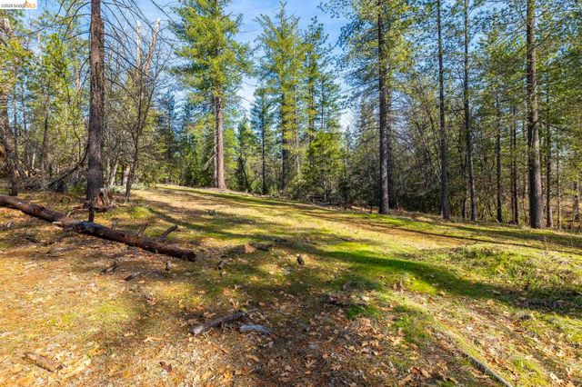 9721 Manzanita Way, Coulterville, CA 95311