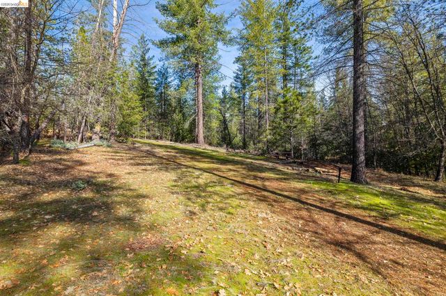 9721 Manzanita Way, Coulterville, CA 95311