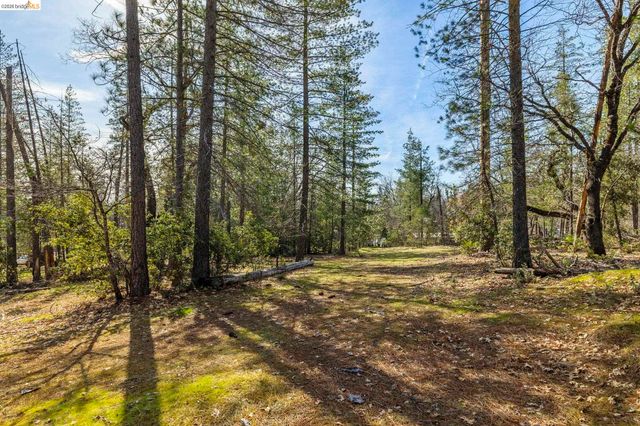 9721 Manzanita Way, Coulterville, CA 95311