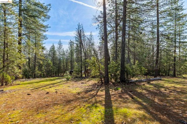 9721 Manzanita Way, Coulterville, CA 95311