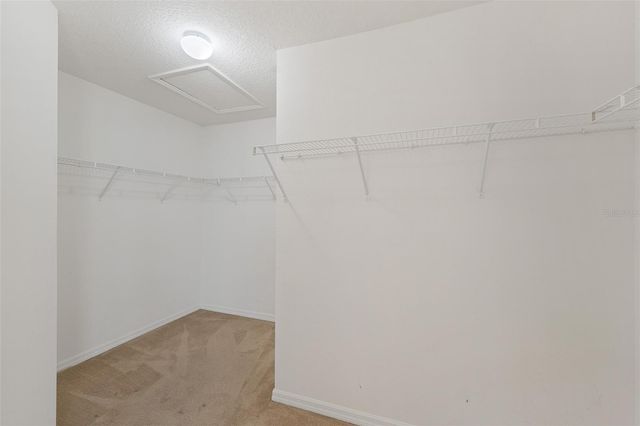 10075 BAYWATER BREEZE DRIVE, Orlando, FL 32827