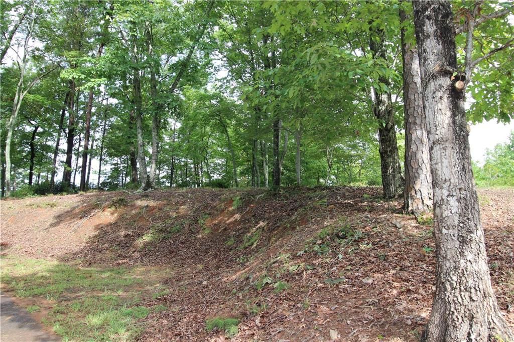 1034 Ainu Court, Dahlonega, GA 30533