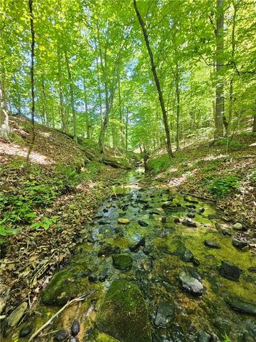 00 Ridgedale Road, Six Mile, SC 29682