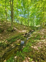 00 Ridgedale Road, Six Mile, SC 29682