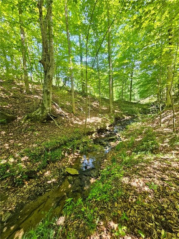 00 Ridgedale Road, Six Mile, SC 29682