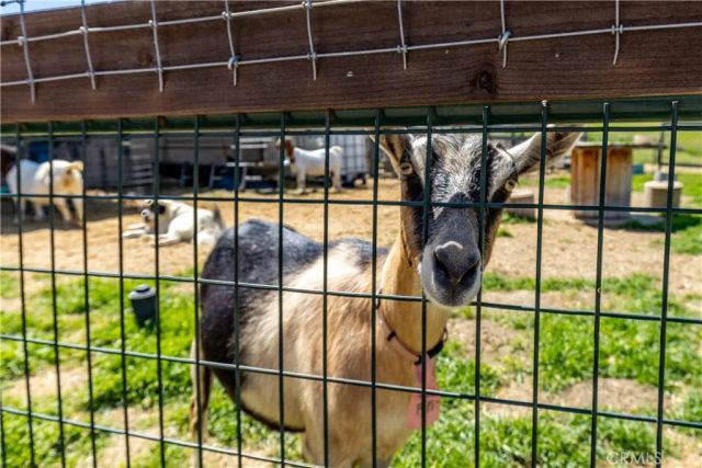 76870 Barker Road, San Miguel, CA 93451