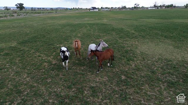 730 N CENTER STREET ST # 2, Elmo, UT 84521