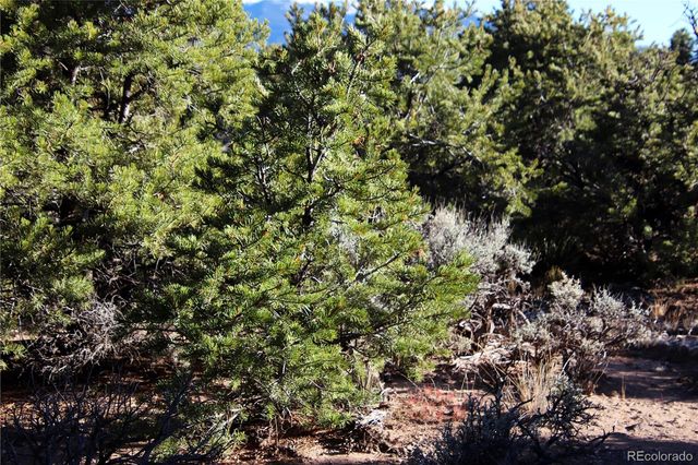 Lot 1 Largo Vista Drive, San Luis, CO 81152