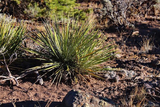 Lot 1 Largo Vista Drive, San Luis, CO 81152