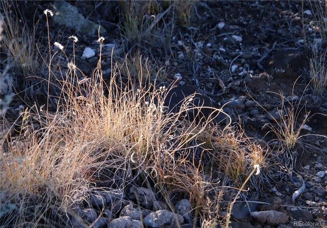 Lot 1 Largo Vista Drive, San Luis, CO 81152