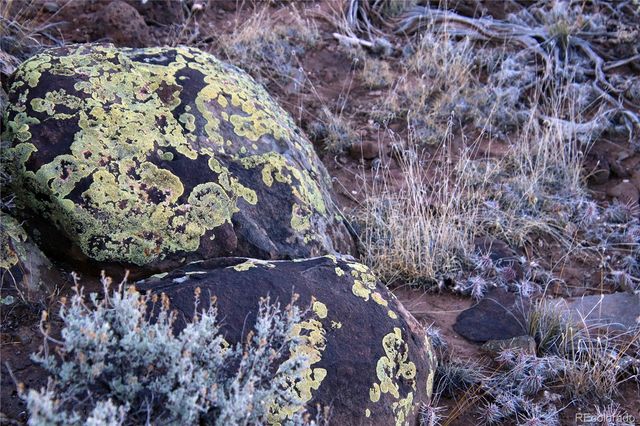 Lot 1 Largo Vista Drive, San Luis, CO 81152