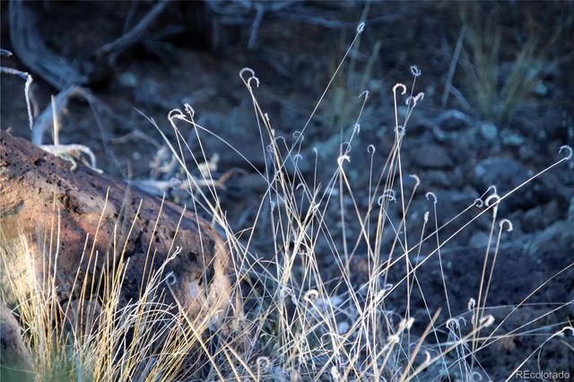 Lot 1 Largo Vista Drive, San Luis, CO 81152