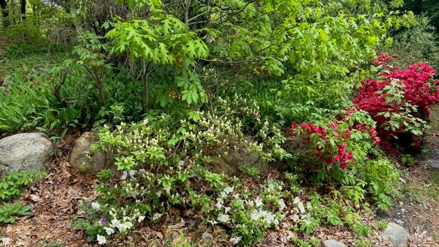 22 Pilgrim Lake Terrace, Orleans, MA 02653