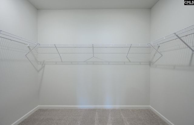 541 Carters Grove Lane, Blythewood, SC 29016