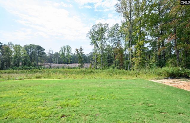 541 Carters Grove Lane, Blythewood, SC 29016