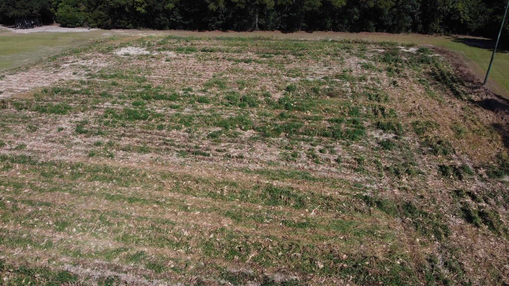 LOT 2 Mar Cap Rd., Galivants Ferry, SC 29544 — photo 2